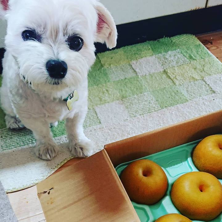 B8601d14 0cea 44ee 8c15 a0f9d5aa759f 1597541241720