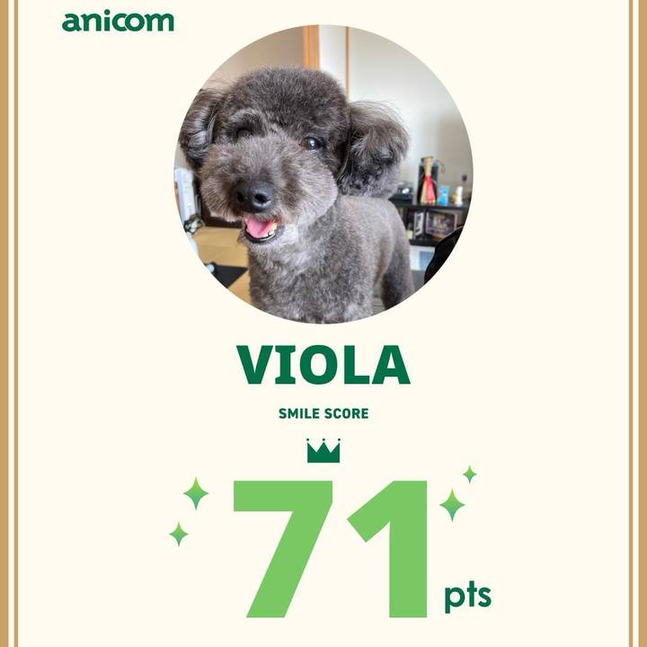 B8602307 04fa 4a3d b31f a89a0866feb4 1746515669247