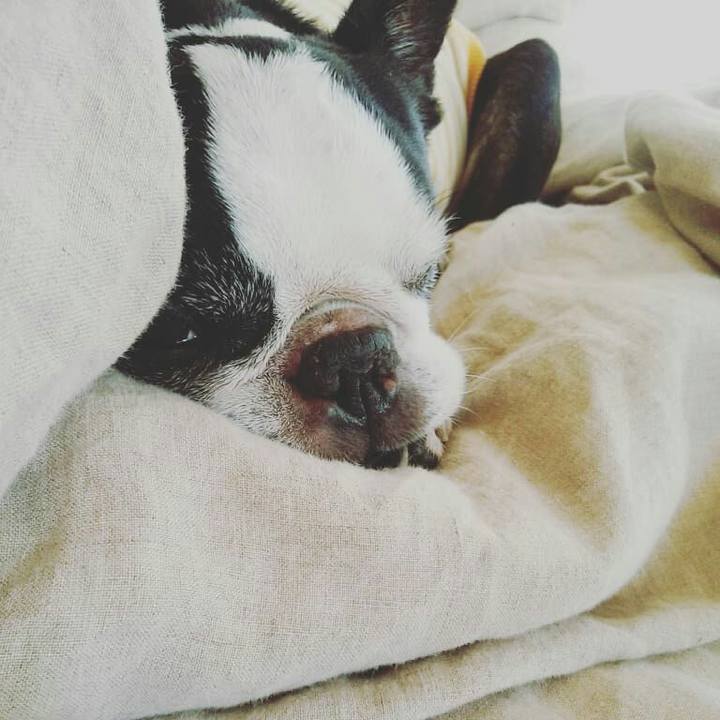 B8603448 9803 46ee 8a9e 18492e8b0639 1542279842408