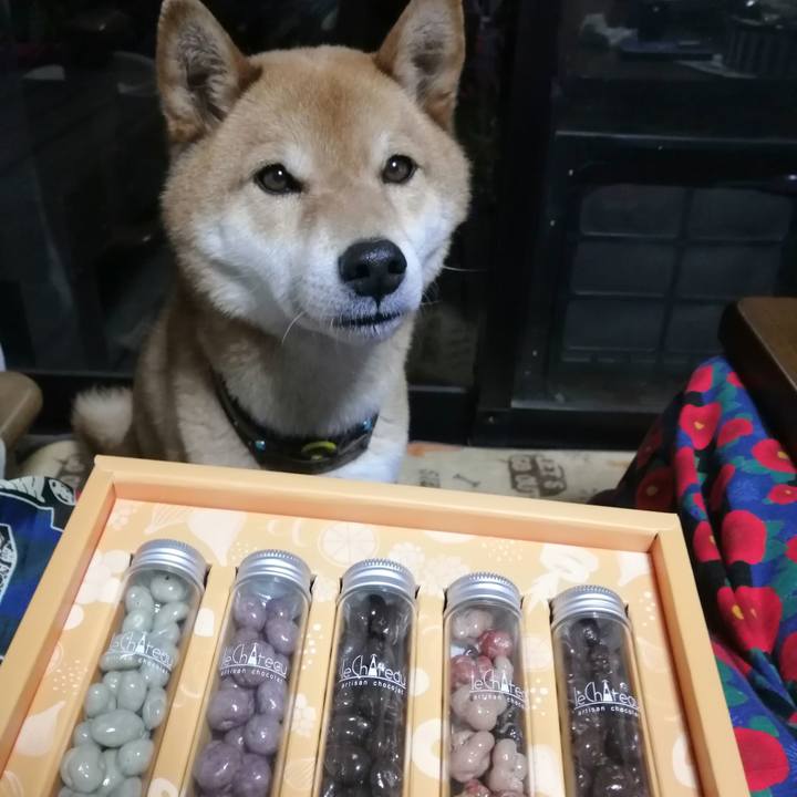 B860411b 6aad 46e9 a259 98e09638c1e7 1586858546986