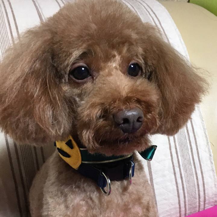 B86057d4 4f8e 4501 82f1 5296a48f8aaa 1541306565641