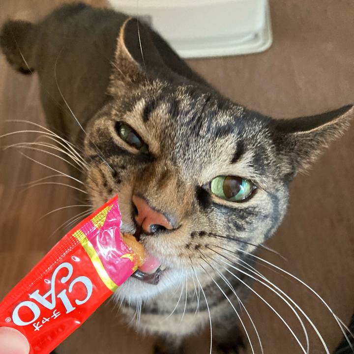 B860634d 8d23 4b51 b758 f84bca09777b 1673759454210