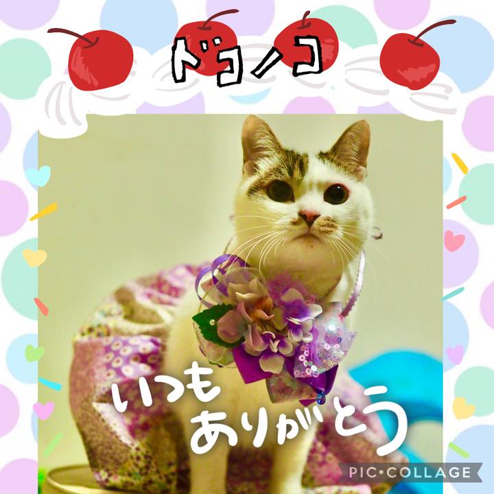 B86074a3 6d55 4641 b5d6 d3e043fdcabf 1686007947863