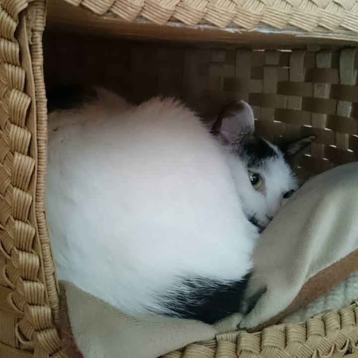 B860a6cd 5b48 4818 bba4 8bfba84a89ce 1507966932326