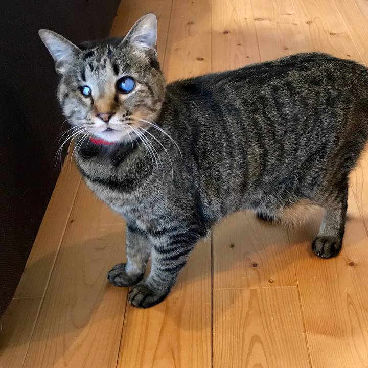 B860cce9 c74e 4d2e aae4 65bac6fd1761 1554441675847