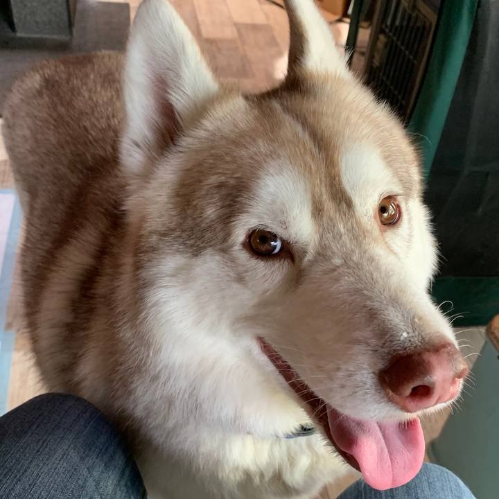 B860d2a8 c32a 4d8c accd 5edc7e6794b5 1589509758265