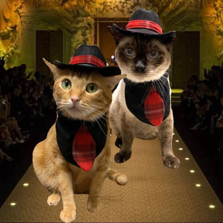 B860dc02 da1f 4d0b 9a8d a6845fa8e26f 1567717464907