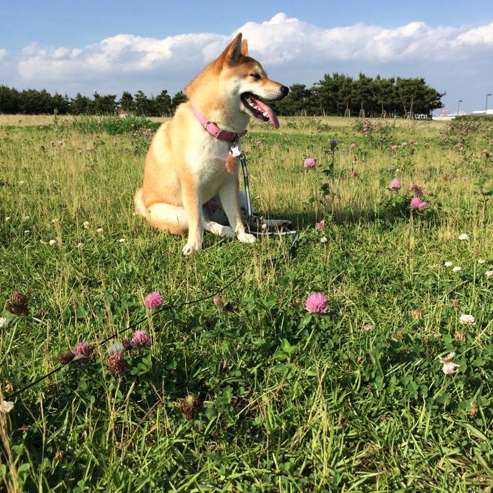 B860f7c3 042d 412f 9952 e43a5f5719c8 1539320104505