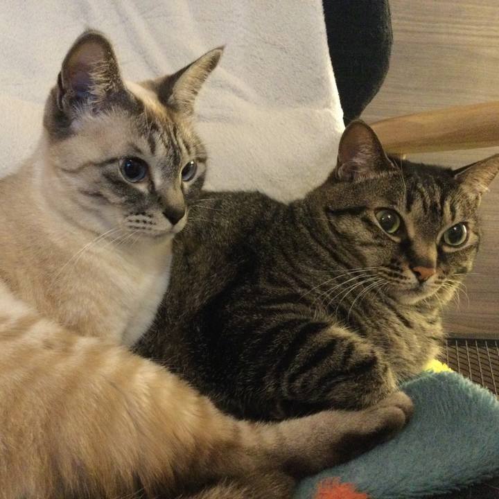 B860ff7b 1c76 4fd2 9b82 a8dfb8a507cb 1646994137561