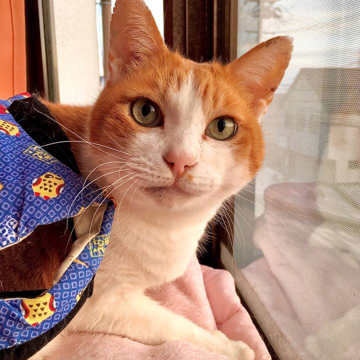 B8610e76 0cde 4611 8668 68a92968033b 1574045239825