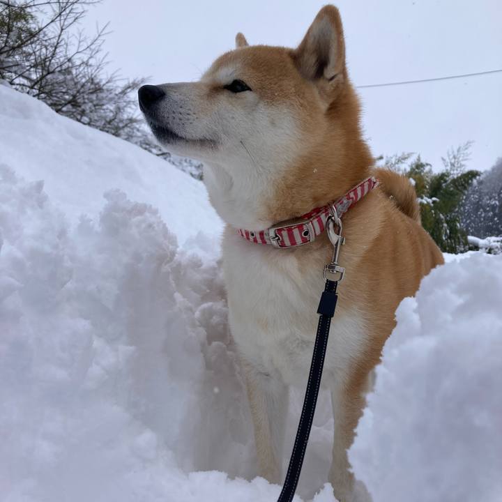 B86134f9 55ff 4b4a a19a 1431a1f7494c 1739013485832