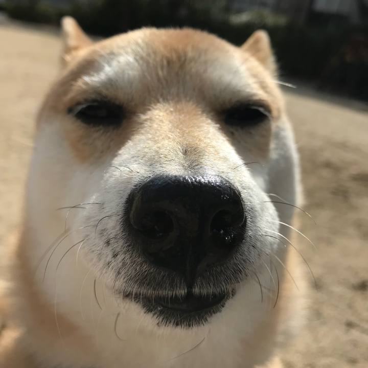 B86136ad d0e2 4fe9 8409 3da63430fce6 1517644524661