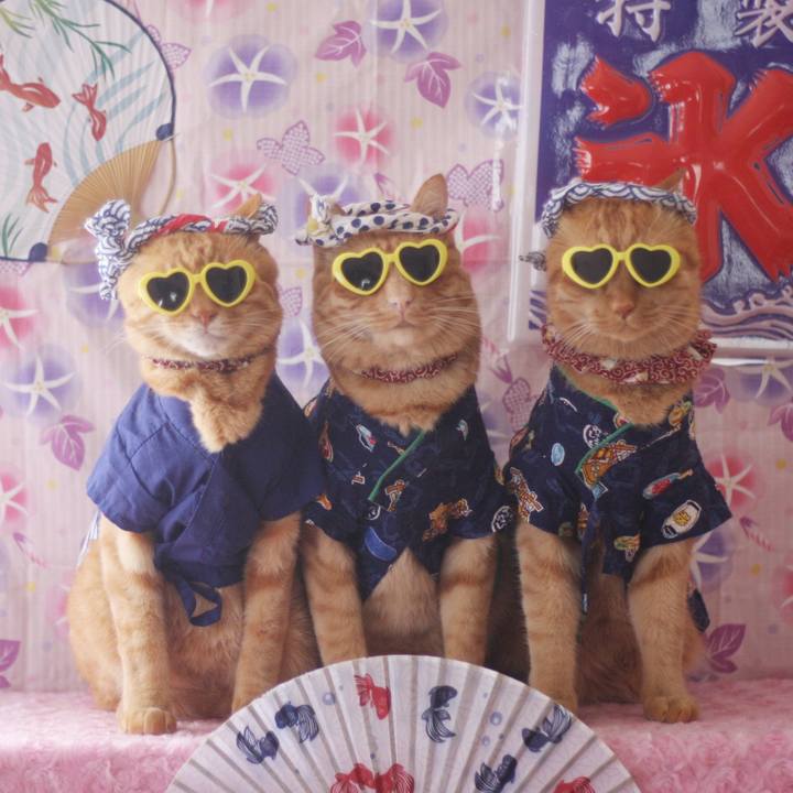 B8615cbf 3053 4a95 b4ec c85fd8743dfd 1720680222042