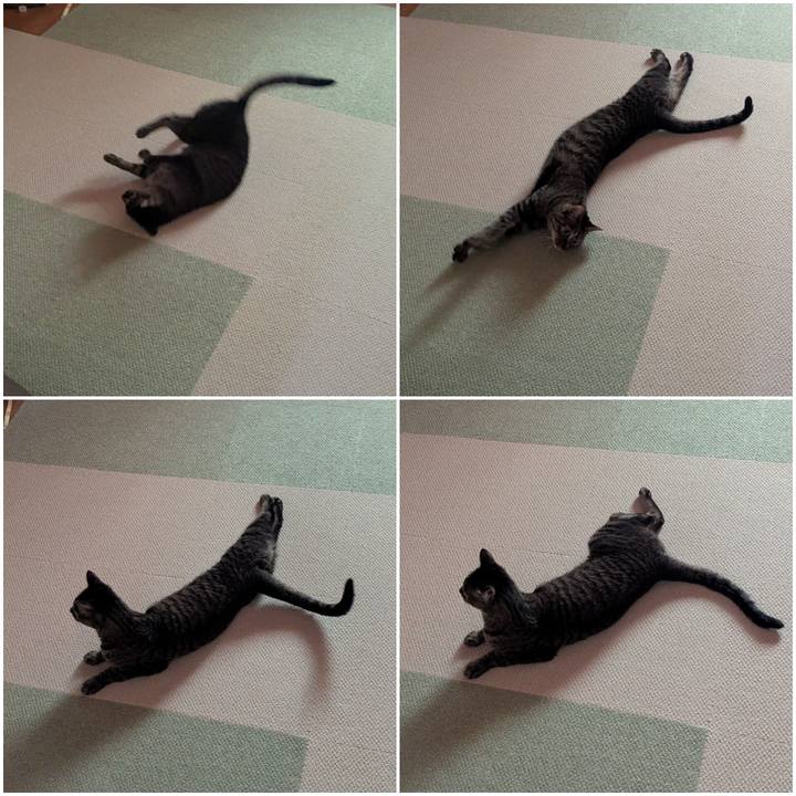 B861752e 00d1 4026 b04d 095e654f6f5b 1745218857609