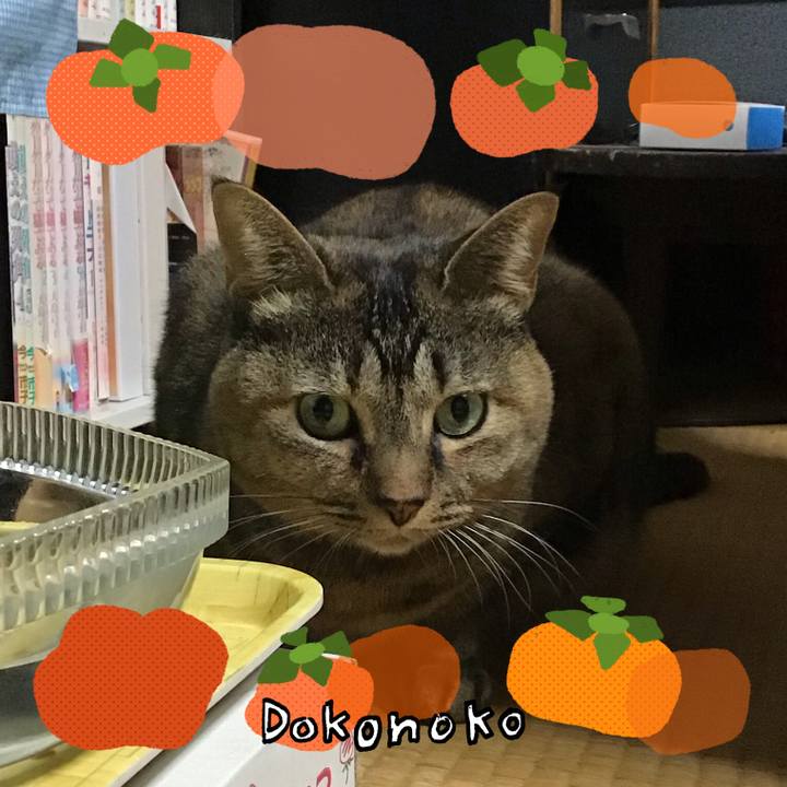 B86176d5 8c06 4280 8bfd 85be42514778 1761900948592