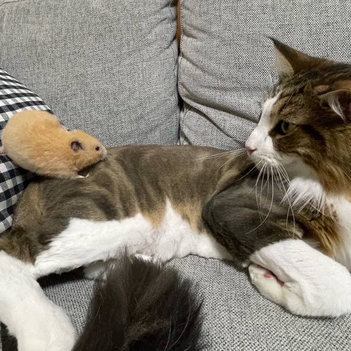 B8619817 db9c 4dd5 abad a78edcad04ff 1658920784695