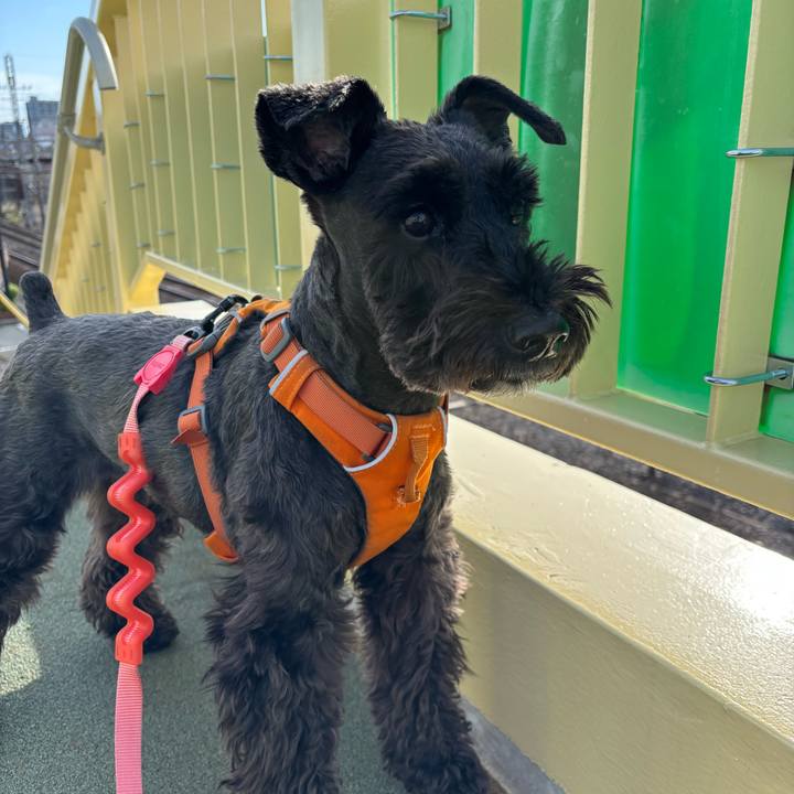 B861ace6 43a5 4bce 925c dff17f931108 1746924884027