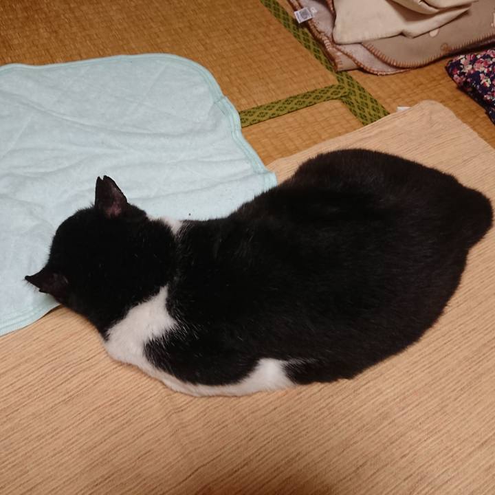 B861ae3a aa38 41af 8130 adeedc9df050 1594956555489