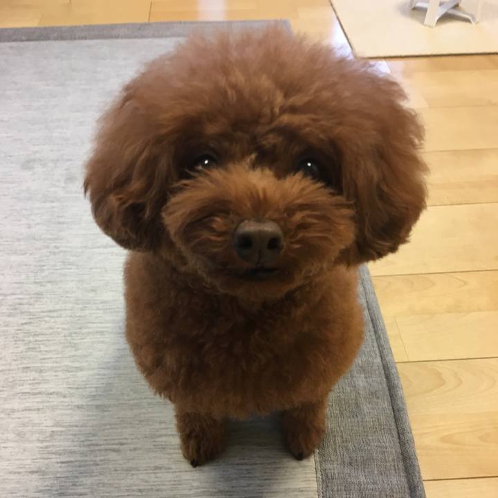 B861e535 9334 4898 8bd7 51f170ea3f97 1536276987213