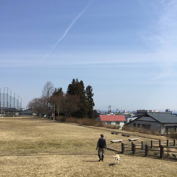 B861f867 b223 4e0f 98ff 50bb458e7189 1549949350561