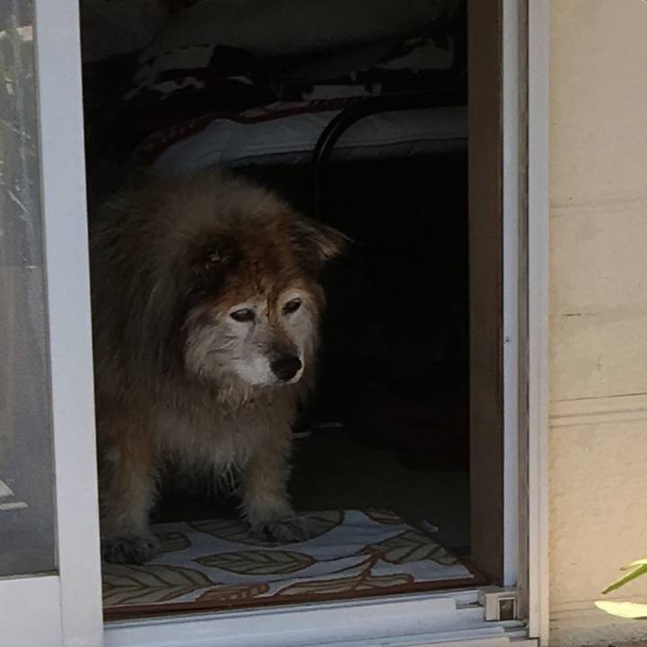 B862117e e5ec 4181 a73f 1175af652c30 1558922515590