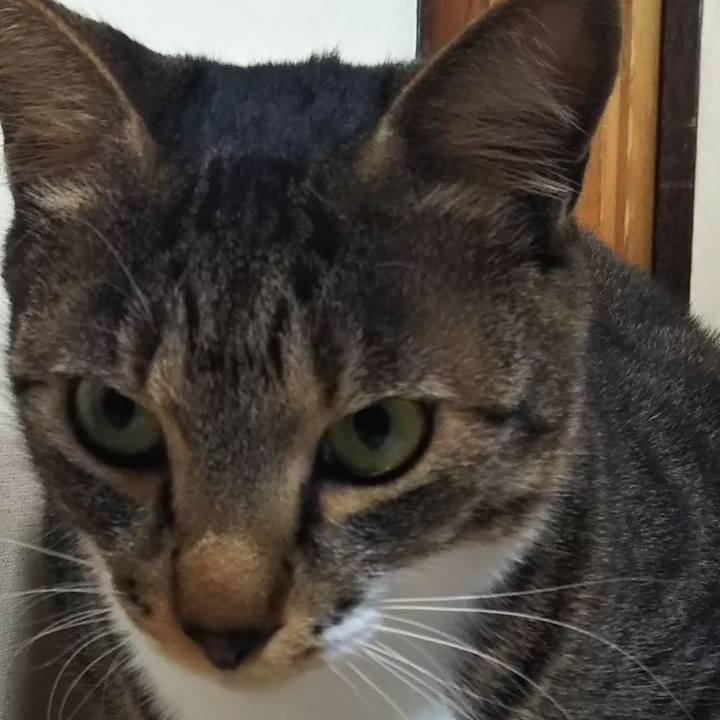 B862243d 1f5b 48c3 8bb8 068f92934b20 1613291525646