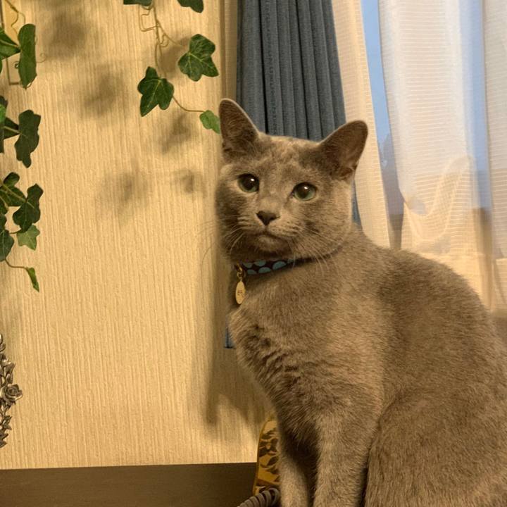 B8625361 9b7a 4e0c 8b72 29f92cbb55f2 1575707228141