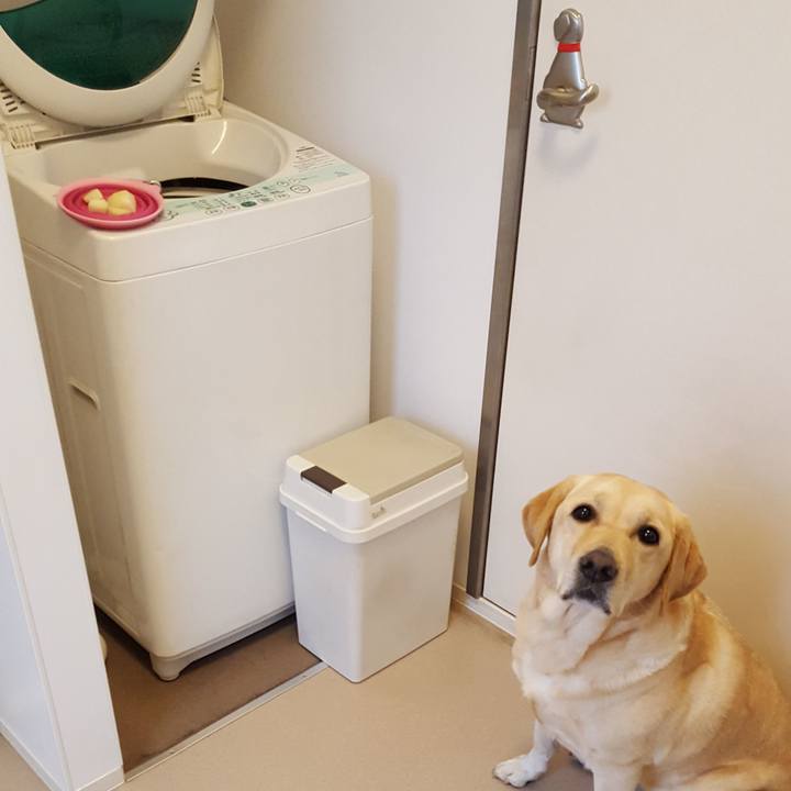 B8627a87 1774 4c16 b822 07a5f639ed0a 1511661996654