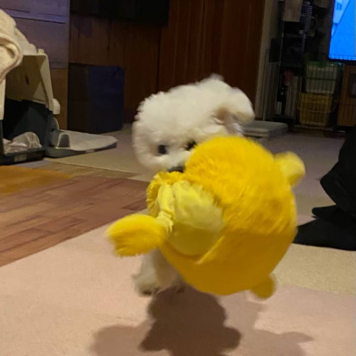 B86282e1 25e9 4381 93ba d6b0e16992cc 1764852290441