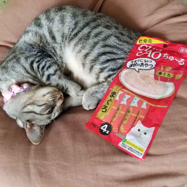 B862842f 0df9 41d2 8e37 c6d3f70b0190 1681353585796