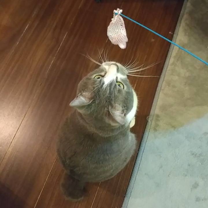 B8628ec9 42e5 4f49 a23f 6758e0054d8a 1651239825606