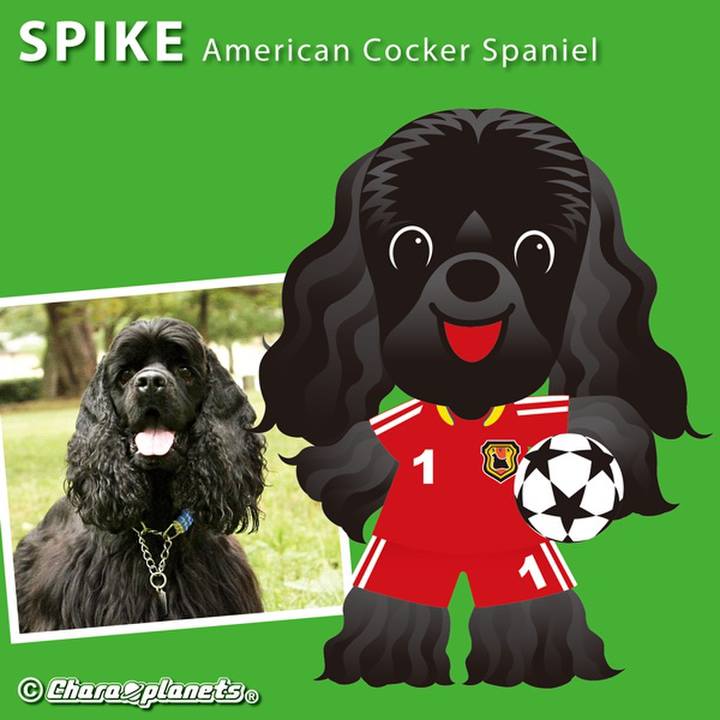 B862953b 2909 4d89 bc0c c8640165e808 1559363670603