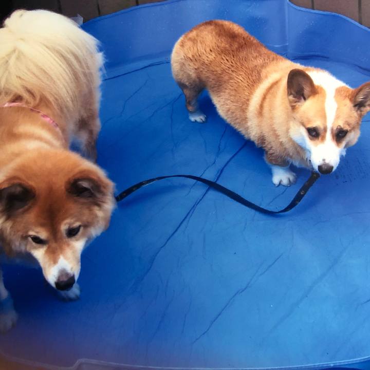 B862a699 db67 4a71 8faf 04aa30890703 1526554034174