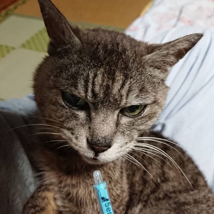 B8630916 9969 47b6 ab16 e657e08d5685 1595972599489