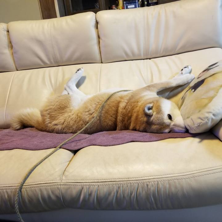 B8633fcd eeef 4f90 a841 f2db20e1aeef 1700003593353