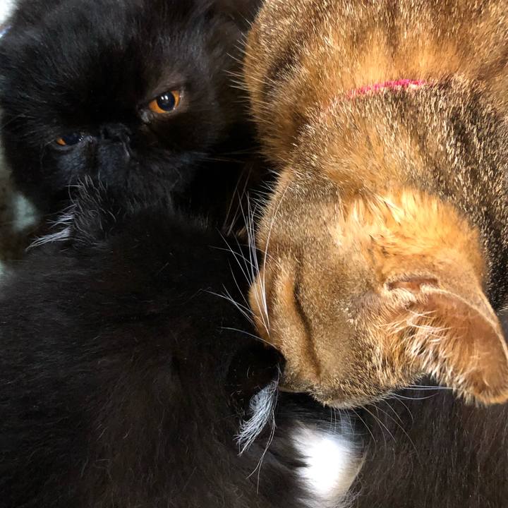 B8634a91 3491 43e9 a93d 62b96f677e4d 1610806168960