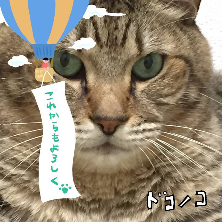 B863611a 1282 4fb2 8a04 a3fc8d12c560 1685934140626