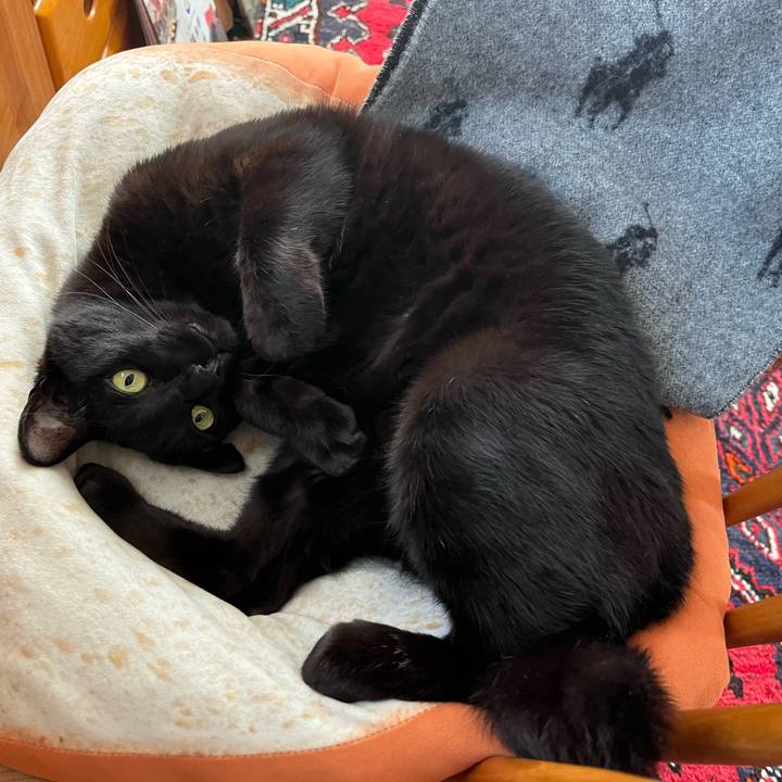 B86372b3 ec96 40cf 85ee a9155b11ebd0 1710904891974