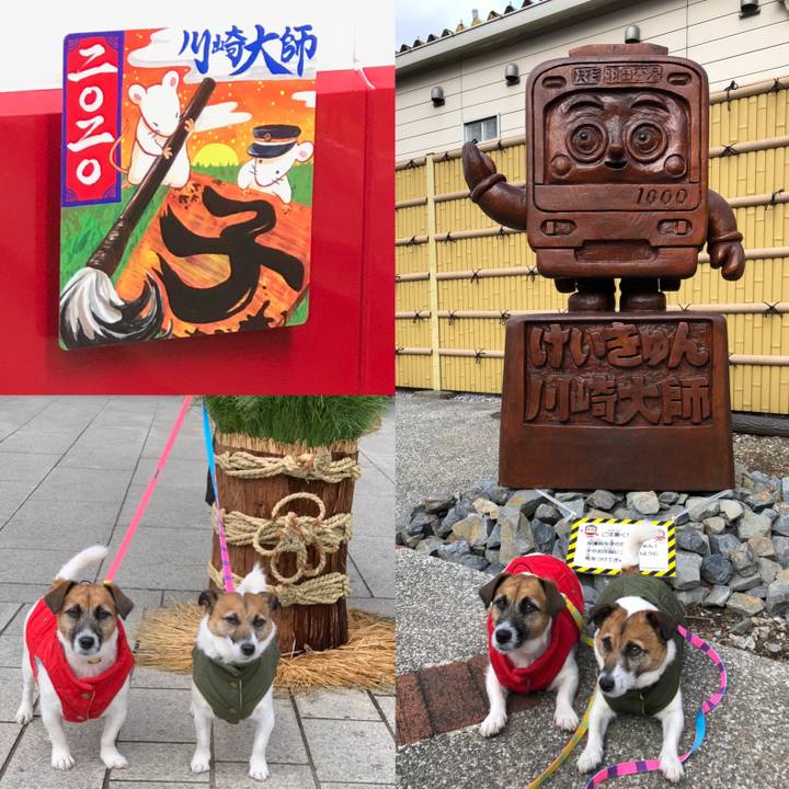 B864029c 72cc 4973 a1c9 40e96039f5c0 1578802970383