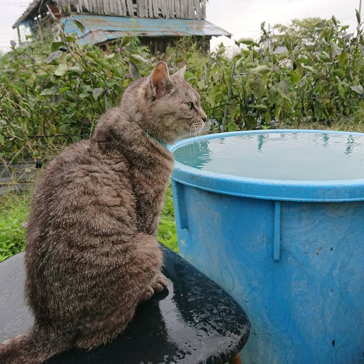 B8641272 d02b 471e a253 e7c6c5a735bc 1571025666741