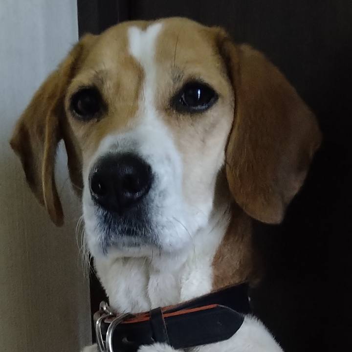 B8642fbe 70f0 4607 b7eb 81db3d7ab1ac 1643554180292