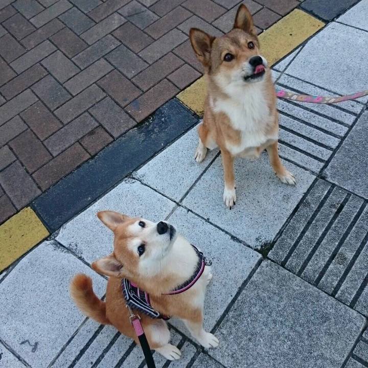 B86442e8 09e1 40a1 a038 f206e74146b2 1541631202720