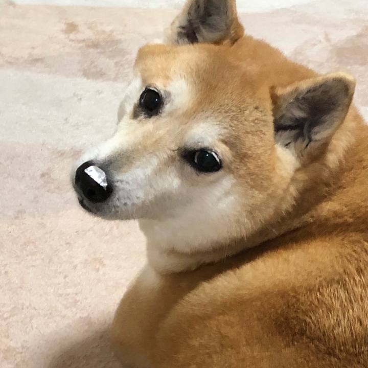 B8645dc9 8e67 4e73 a01c 149c8ce19d70 1587729254121