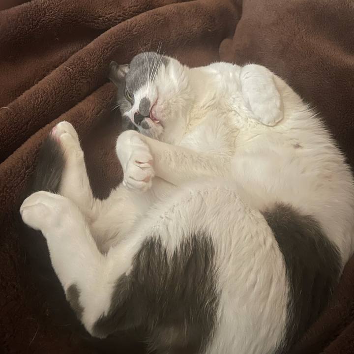 B8647970 6e43 4b21 9cac 300abccd450e 1666306744926