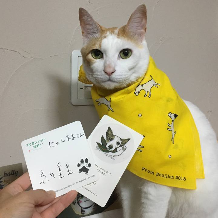 B8649d14 bf1c 44c1 b64c d1f280491a31 1526221058870