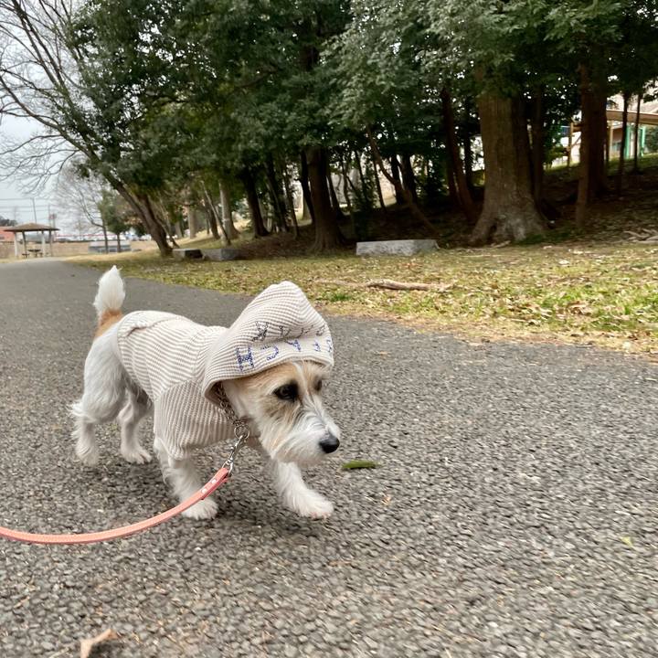 B8649e2c 73f9 42e2 9438 a90766afacb6 1646123794433