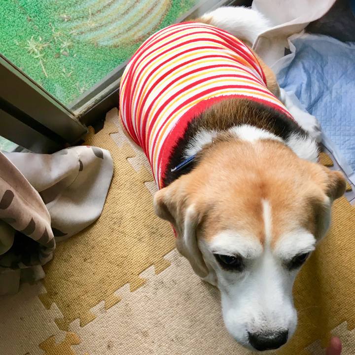 B864a828 023f 4184 b498 0a6d156d205a 1542871604487