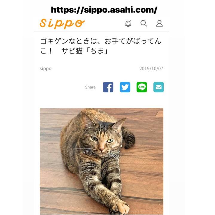 B864afe8 1824 495e b0dd 4d130dbd1396 1570508551602