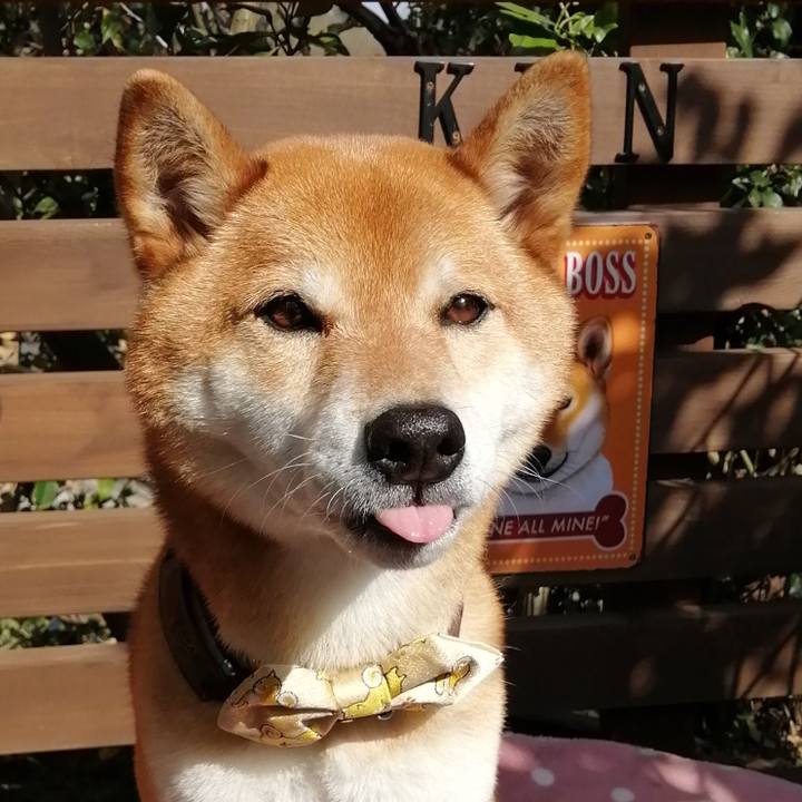 B864b8ff dc39 4d6b a40a e46c1f324e9b 1616565474030