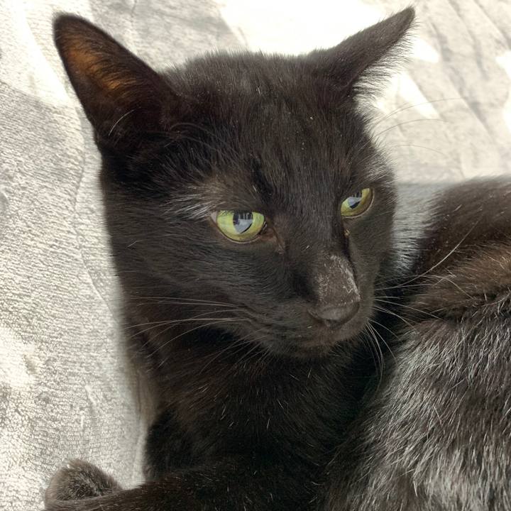 B864c604 b8bb 4e70 94ec 397640db8918 1576544384749